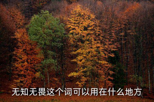 無知無畏這個(gè)詞可以用在什么地方