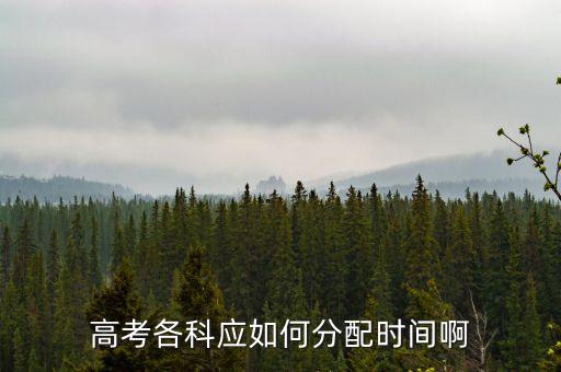 高考各科應如何分配時間啊