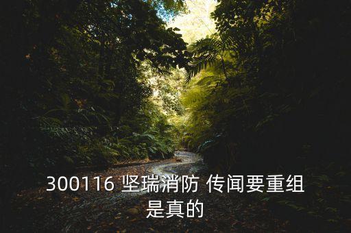 堅(jiān)瑞消防什么新重大事項(xiàng)，300116 堅(jiān)瑞消防 傳聞要重組是真的