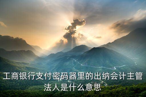 銀行負(fù)責(zé)人法人是什么職位，工商銀行支付密碼器里的出納會(huì)計(jì)主管法人是什么意思