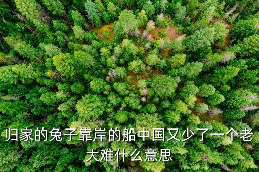 歸家的兔子靠岸的船中國(guó)又少了一個(gè)老大難什么意思