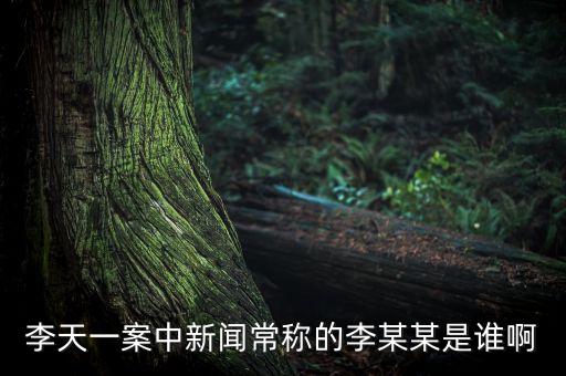 李天一案中新聞常稱的李某某是誰(shuí)啊
