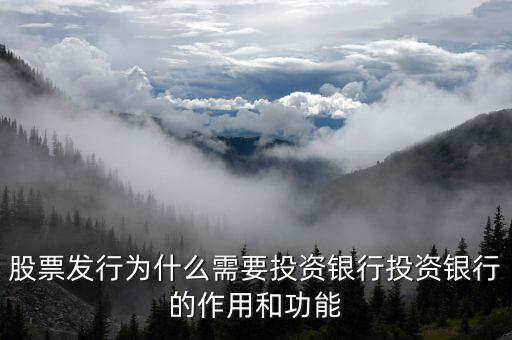 股票發(fā)行為什么需要投資銀行投資銀行的作用和功能