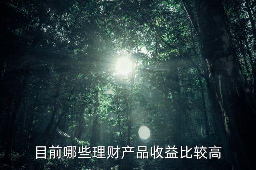 目前哪些理財(cái)產(chǎn)品收益比較高