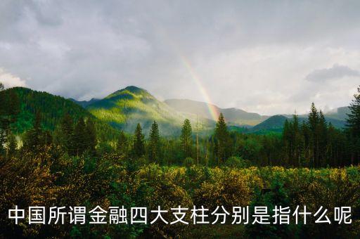 金融四大是什么，中國(guó)所謂金融四大支柱分別是指什么呢