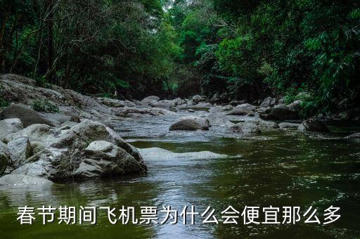 春節(jié)期間飛機(jī)票為什么會(huì)便宜那么多