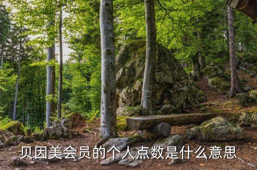 貝因美會(huì)員的個(gè)人點(diǎn)數(shù)是什么意思