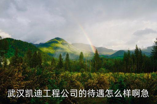 武漢凱迪工程公司的待遇怎么樣啊急