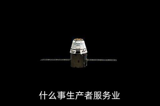 什么事生產(chǎn)者服務(wù)業(yè)