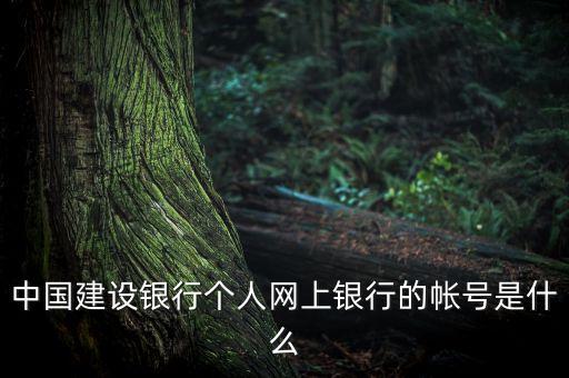 中國建設(shè)銀行個人網(wǎng)上銀行的帳號是什么