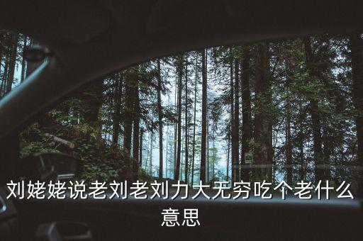 劉姥姥說老劉老劉力大無窮吃個老什么意思