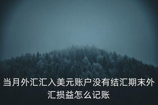 當月外匯匯入美元賬戶沒有結(jié)匯期末外匯損益怎么記賬
