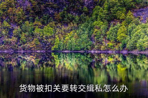 集裝箱被扣緝私需要辦什么手續(xù)，貨物被扣關(guān)要轉(zhuǎn)交緝私怎么辦