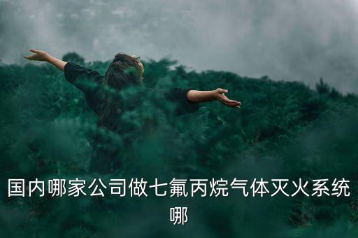 國(guó)內(nèi)哪家公司做七氟丙烷氣體滅火系統(tǒng)哪