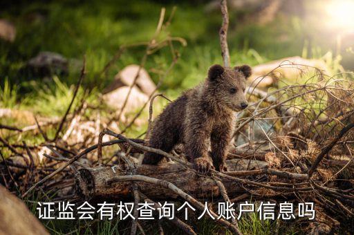 證監(jiān)會有權(quán)查詢個人賬戶信息嗎