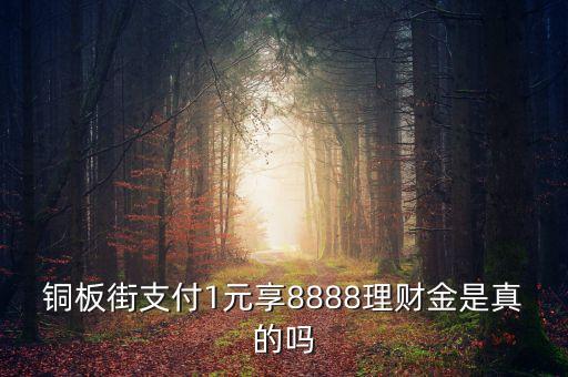 銅板街理財(cái)金是什么，銅板街理財(cái)金有什么用