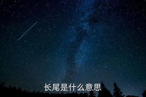 長尾是什么意思