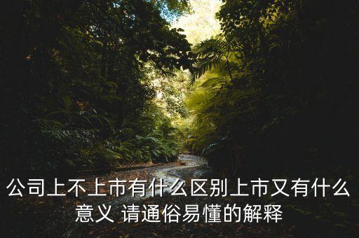 公司上不上市有什么區(qū)別上市又有什么意義 請(qǐng)通俗易懂的解釋