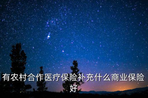 有農(nóng)村合作醫(yī)療保險(xiǎn)補(bǔ)充什么商業(yè)保險(xiǎn)好