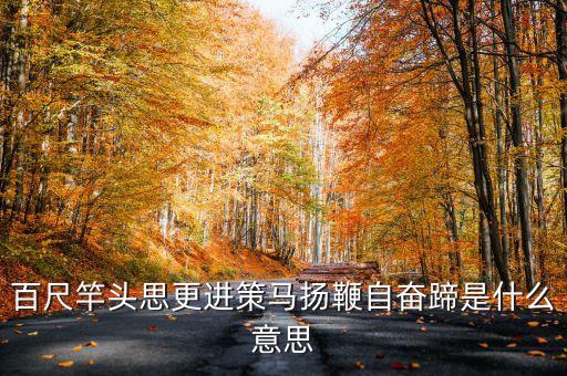 揚(yáng)蹄奮進(jìn)什么意思，揚(yáng)鞭奮蹄什么意思