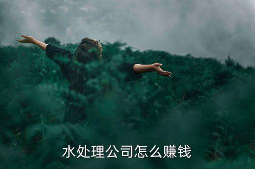 污水處理廠靠什么盈利，污水處理廠一般是以什么作為銷售收入及盈利的