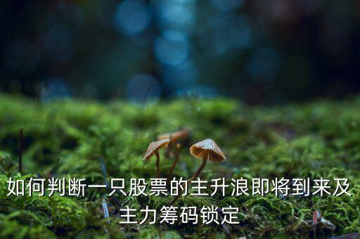 什么時候開始主升浪，怎么判斷一只股票是否要進入主升浪