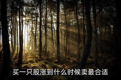 股票漲了什么時(shí)候能賣(mài)，股票創(chuàng)新高后什么時(shí)候賣(mài)出