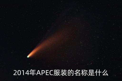 apec穿什么，apec會(huì)議在中國(guó)開(kāi)過(guò)幾次當(dāng)時(shí)的首腦會(huì)議穿的是什么服裝