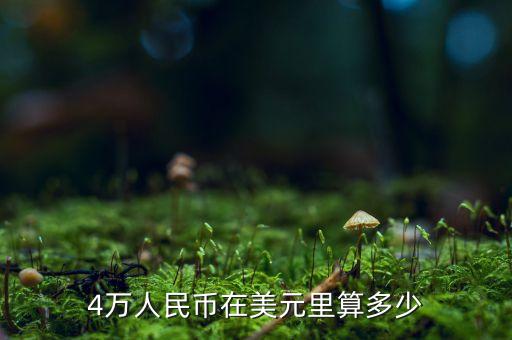 4萬(wàn)人民幣在美元里算多少