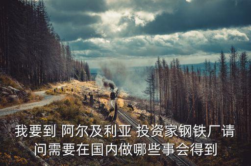 阿爾及爾投資什么好，本人打算去非洲做生意 都需要準(zhǔn)備些什么