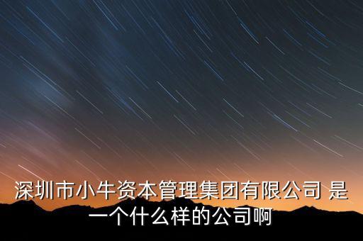 深圳市小牛資本管理集團(tuán)有限公司 是一個(gè)什么樣的公司啊