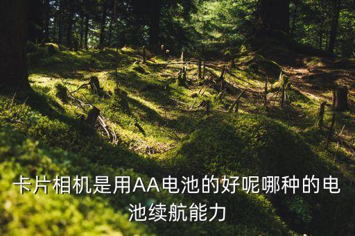 贛通卡機(jī)身用什么電池，UPS普遍使用的電池是什么電池