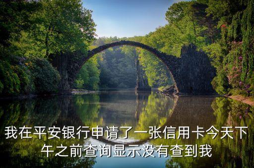 平安貸貸卡未查詢到數(shù)據(jù)什么意思，我在平安銀行申請了一張信用卡今天下午之前查詢顯示沒有查到我