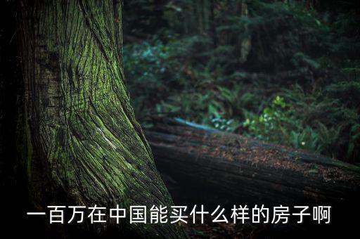 一百萬在中國能買什么樣的房子啊