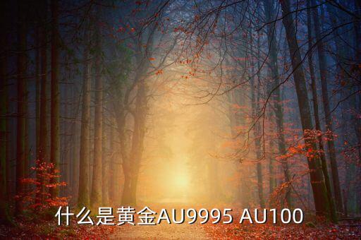 什么是黃金AU9995 AU100