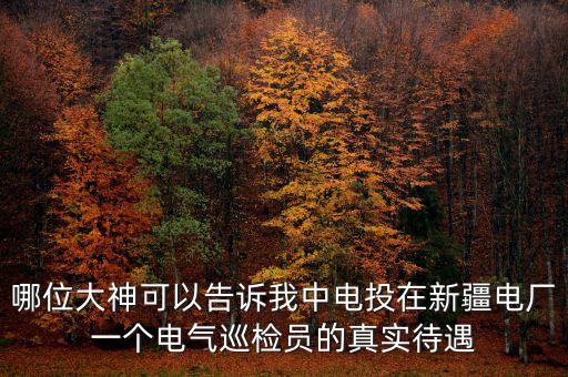中電投為什么待遇差，中電投江西景德鎮(zhèn)發(fā)電廠怎樣