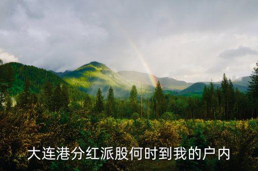 大連港分紅派股何時到我的戶內