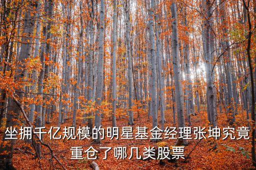 坐擁千億規(guī)模的明星基金經(jīng)理張坤究竟重倉了哪幾類股票