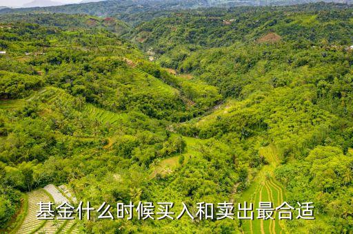 基金什么時(shí)候買入和賣出最合適