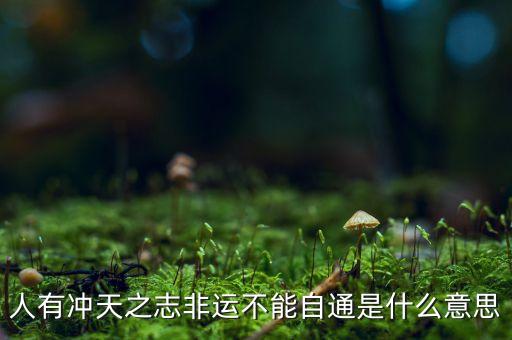 人有沖天之志非運不能自通是什么意思