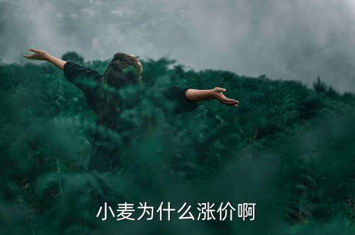小麥為什么漲價(jià)啊