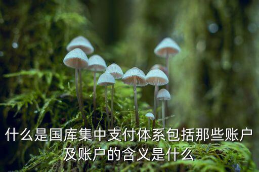 什么叫國庫，什么是國庫券最好能解釋得通俗易懂