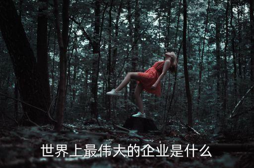 什么是偉大的企業(yè)，世界上最偉大的企業(yè)是什么