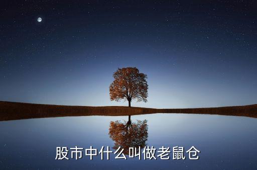 股市中什么叫做老鼠倉