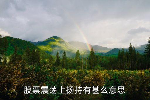 股票中的震蕩上行是什么，什么是震蕩上行