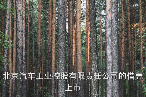 北京汽車工業(yè)控股有限責(zé)任公司的借殼上市