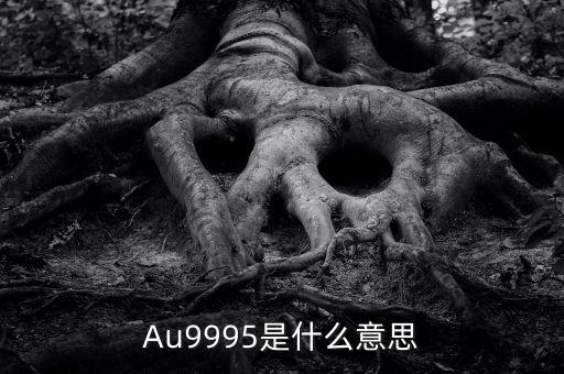Au9995是什么意思