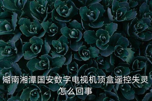 國(guó)安樂視什么情況，樂視最近出啥大事了