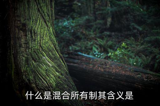 什么是混合所有制其含義是