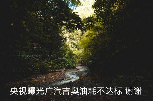 央視曝光廣汽吉奧油耗不達(dá)標(biāo) 謝謝